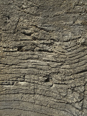 Very old weathered wood texture