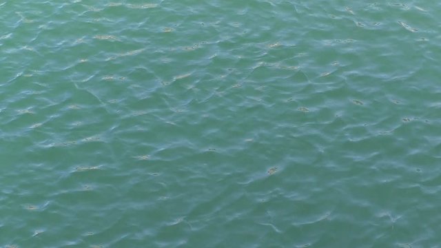 Clear wavy water surface. Turquoise liquid texture. High definition footage for a background.