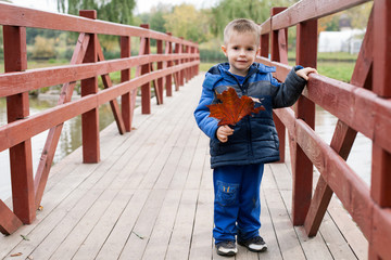Cute little boy with an autumn leaf in the hand standing on the bridge in the park