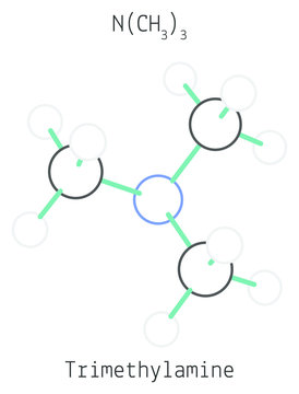 Trimethylamine C3H9N molecule