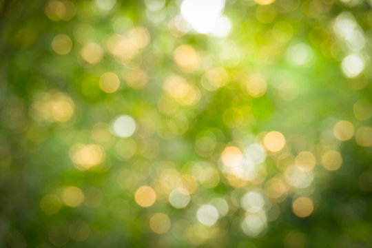Defocus nature green bokeh, Defocused abstract nature background with green leaves and bokeh lights.