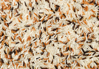 detail of uncooked mix rice grains background