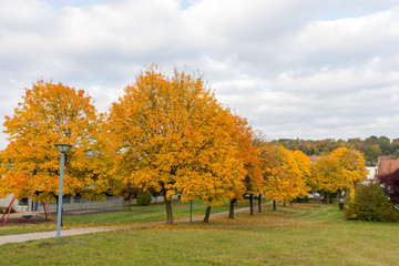Herbst Bäume