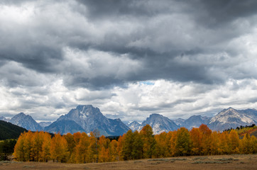 Grand Teton