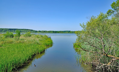 der Dreifelder Weiher in der beliebten Westerwälder Seenplatte,Rheinland-Pfalz,Deutschland