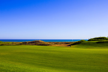 Field overlooking the sea