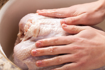 Fototapeta na wymiar raw oven roasted turkey showing hands rubbing olive oil on it