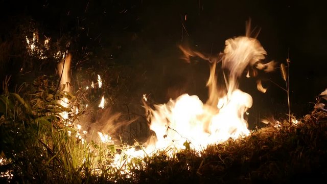 Fire burning grass near roadside.