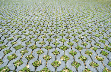 patterned paving tiles, cement brick floor background