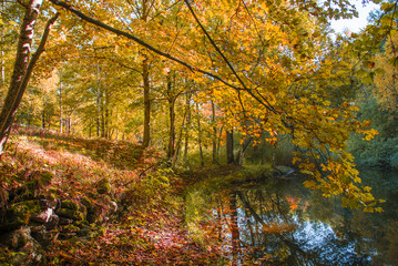 Fototapete bei efototapeten.de bestellen   