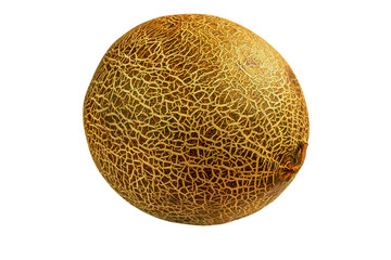 Melon insulated on white