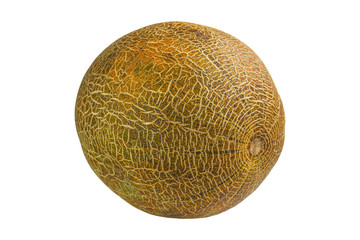 Melon insulated on white