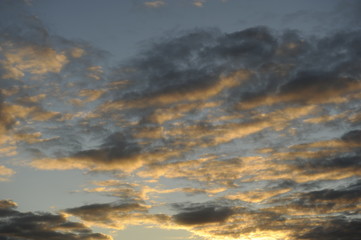 Skies