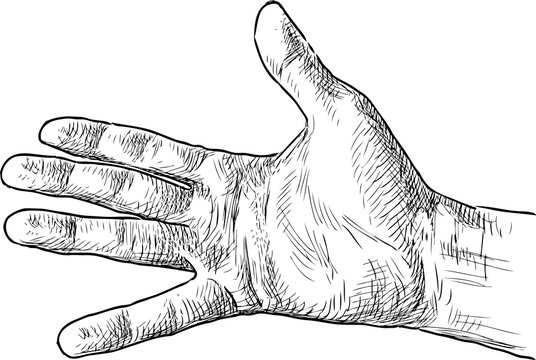 palm of male hand