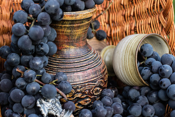 Old wine pitcher and clay glass surrounded by black grapes in a wicker basket with metal winemaking...