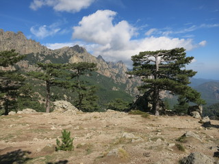 Korsika Col de Bavella 12