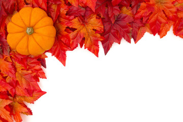 Autumn Leaves Background with a pumpkin over white