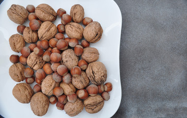 walnuts and hazelnuts autumn