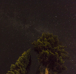 Reaching for the Stars