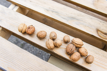 walnuts on the wooden palette
