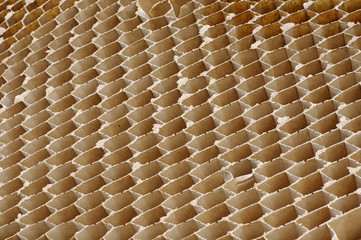 Honeycomb cardboard cells