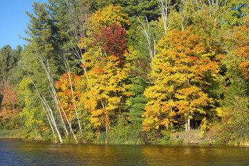 Fall foliage on shore of Mill Pond, Connecticut.