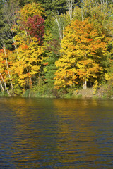 Fall foliage on shore of Mill Pond, Connecticut.