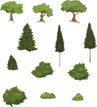 Vector illustrations of various trees and shrubs.