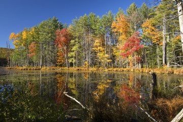Fall foliage and reflections in Plymouth, New Hampshire.