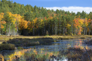 Fall foliage and reflections in Plymouth, New Hampshire.