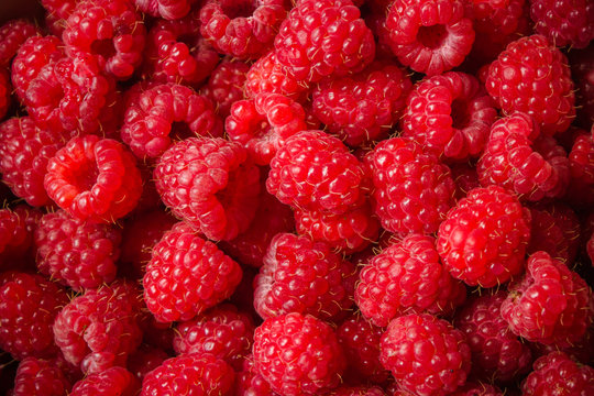 Background of fresh raspberries from the garden