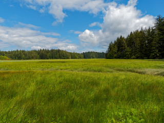 Pacific Northwest USA