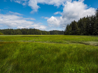 Obraz premium Pacific Northwest USA