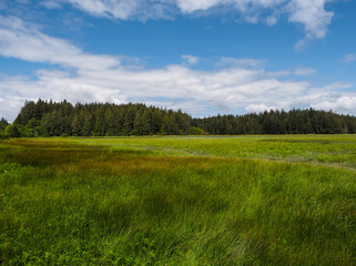 Fototapeta premium Pacific Northwest USA