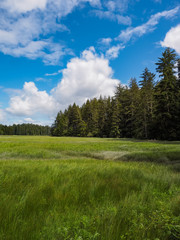 Obraz premium Pacific Northwest USA