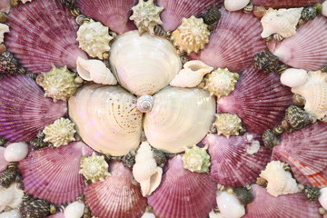 Fototapeta na wymiar Panels made of various shells, beads of various shells