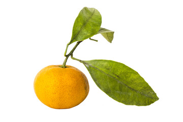 Tangerine with leaves isolated on white