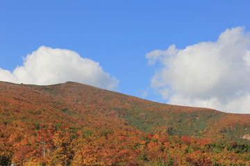 紅葉(栗駒山)