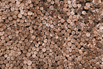 background of pine wood surface