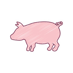 silhouette pig with color strokes vector illustration