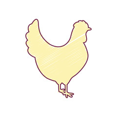 silhouette chicken with color strokes vector illustration