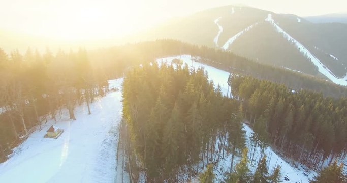 4K Aerial Top View of Ski resort with ski tracks among the forest in winter season. Sunset soft light. Beautiful world. Bukovel, Carpathian Mountains, Ukraine