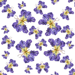 background made of butterflies of various flowers