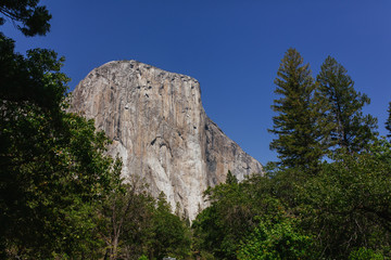 Fototapeta na wymiar El Capitan | Yosemite Valley