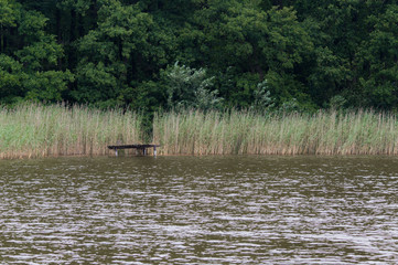 Bridge over the lake in a cane