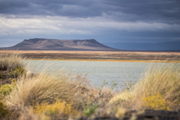 Lake view