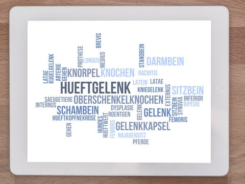 H&uuml;ftgelenk