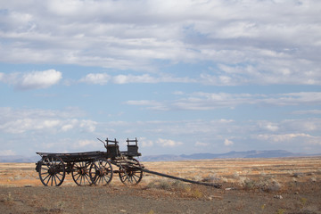 Fototapeta na wymiar Ox wagon