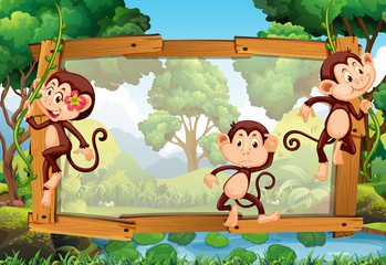 Frame design with three monkeys in the woods