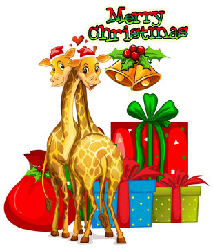 Christmas card template with giraffes and presents